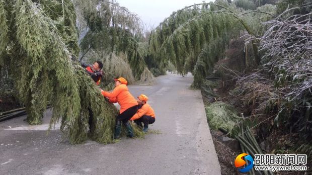 公路應(yīng)急搶險隊員砍伐倒樹