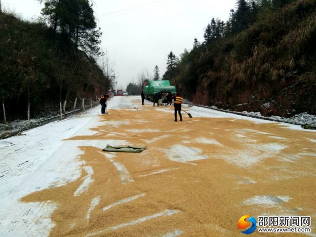 綏寧縣公路局在冰凍路面鋪灑谷殼_副本