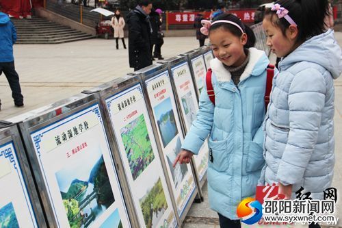 　　小學生在觀看宣傳展板