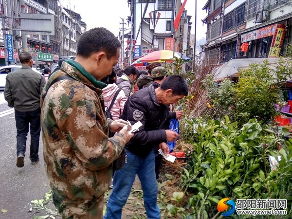 長鋪老街苗木市場