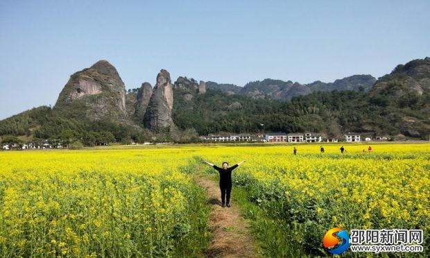 陽(yáng)春三月，油菜花開(kāi)，山石相映，風(fēng)景旖人，游人們?nèi)绨V如醉。