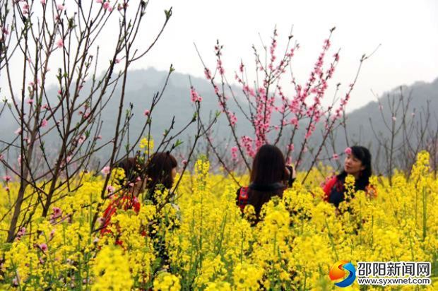 聯(lián)通版隆回桃花、油菜花