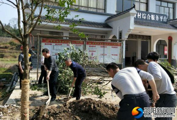 在秦橋村植樹