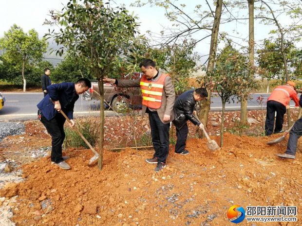 植樹現(xiàn)場