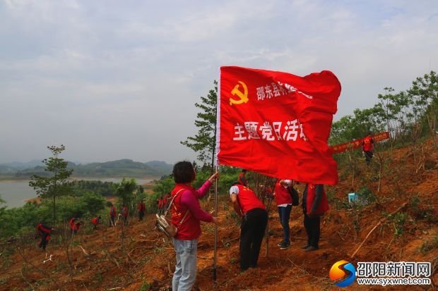 植樹(shù)現(xiàn)場(chǎng)1