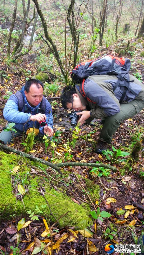 科考隊(duì)員對(duì)植物進(jìn)行拍照