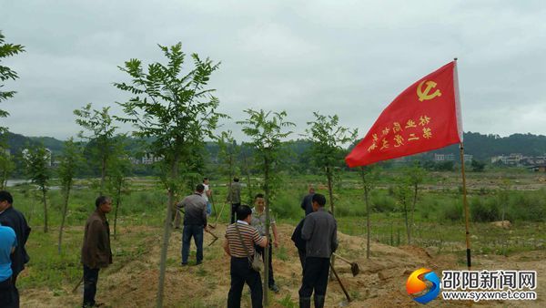 全體黨員開展沙灘護林活動