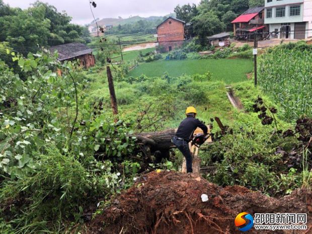 邵陽市北塔區(qū)10千伏磨茶線倒樹搶修現場