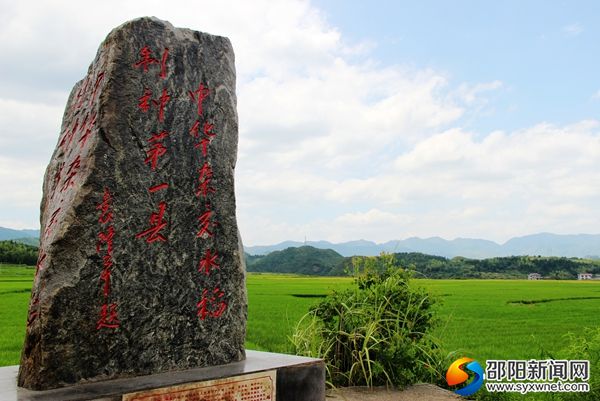 綏寧縣武陽雜交水稻制種基地（向云峰 攝影）_副本