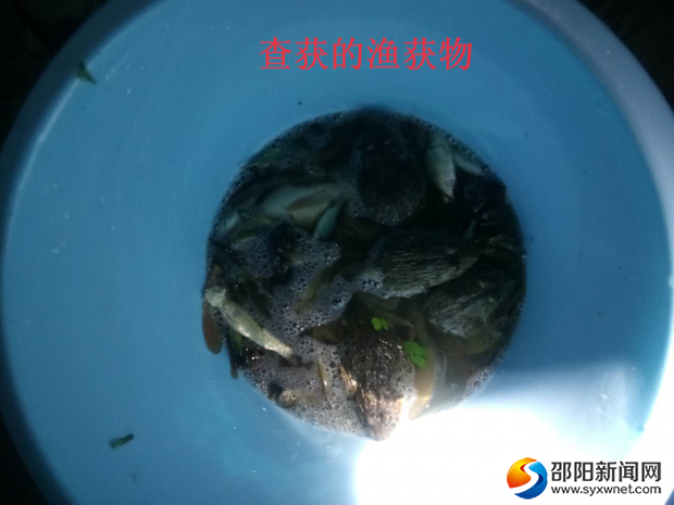 查獲的漁獲物