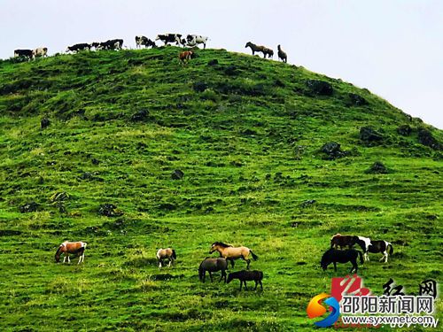 高山草原景美如畫