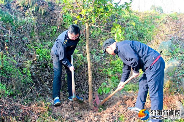 植樹現(xiàn)場1