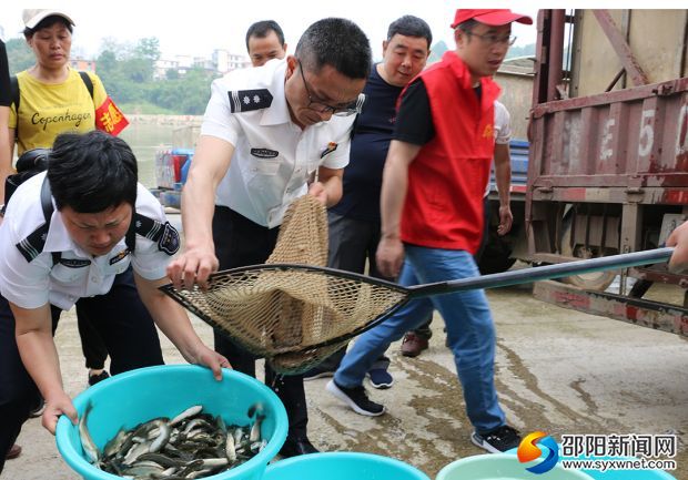 將魚苗入盆