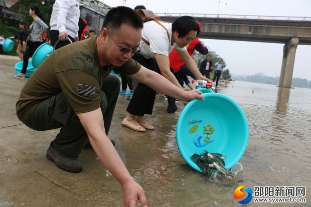 放流魚苗