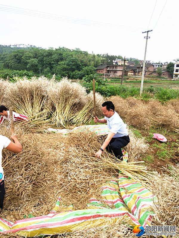 吳清政（右）在用棒幫貧困戶打油菜