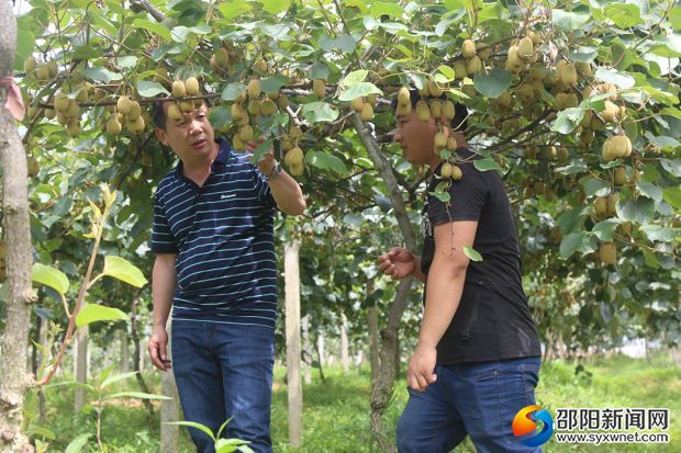 李玉陽和技術(shù)人員商討種植技術(shù)