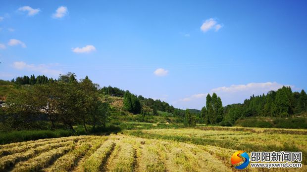 4醪田鎮(zhèn)