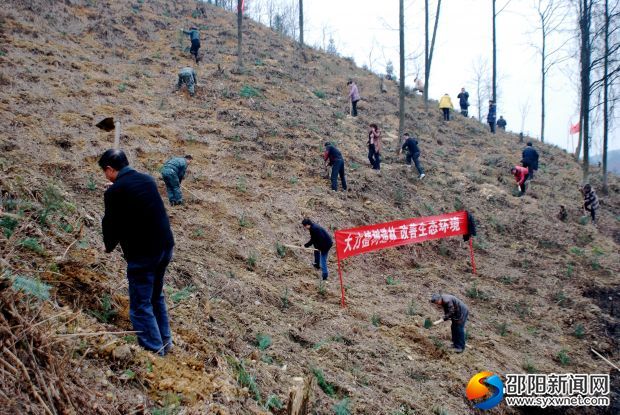 绥宁县干部群众广泛参与植树造林