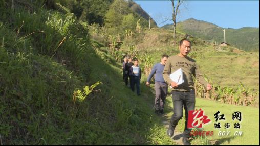 阳远志 4月2日,城步自然资源局核查人员对照卫星地图现场对兰蓉乡