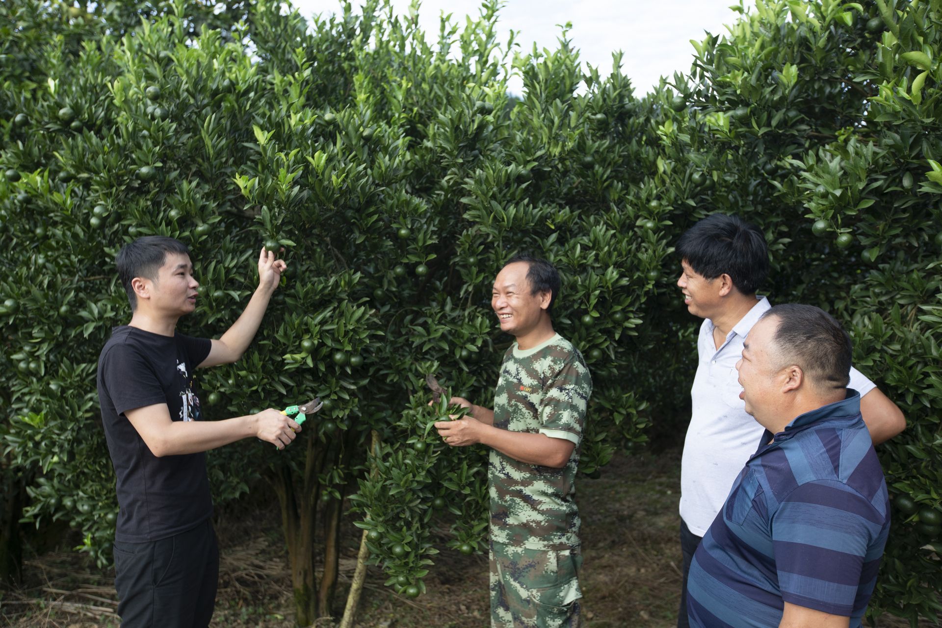 夏明鑫（左一）向種植戶教授果樹種植技術。受訪者供圖.jpg?x-oss-process=style/w10