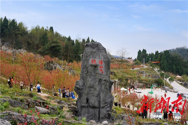 “小平臺”成就鄉(xiāng)村共建共治“大舞臺”