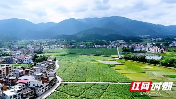 微信圖片_20250623090319.jpg