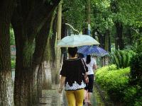 局地大到暴雨市民請注意防范