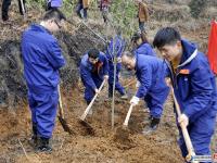 市區(qū)千余人植樹節(jié)里植樹忙