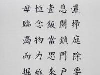 邵陽(yáng)開(kāi)展“墨香書(shū)法展示”活動(dòng)