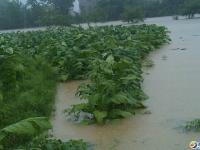 隆回橫板橋鎮(zhèn)遭暴雨襲擊 街道田間部分被淹