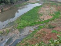 南寧一河流河床被開墾成菜地 河岸變農(nóng)場