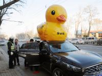 太原違章豪車飛出活鴨 交警于街頭捉鴨大戰(zhàn)