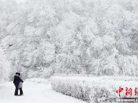 【圖刊】雪韻美景