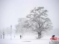 【圖刊】雪韻美景