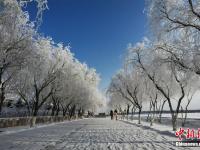 組圖：甘肅嘉峪關雪中雄關美如畫