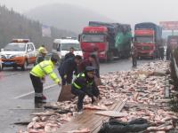 大貨車側翻魚兒撒一地 交警上路清理