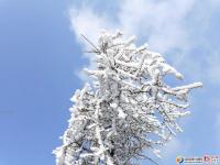 龍山雪景讓人醉