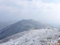 龍山雪景讓人醉