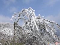 龍山雪景讓人醉