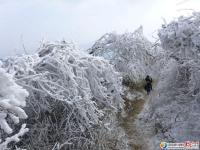 龍山雪景讓人醉