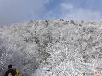 龍山雪景讓人醉