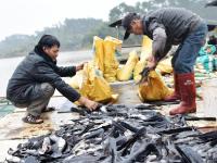 寒潮導(dǎo)致廣西近300萬斤魚被凍死