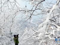 安徽萬佛湖景區(qū)雪后如畫