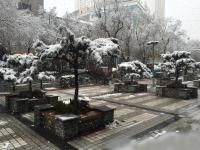 青海多地降雪 省會(huì)西寧出現(xiàn)暴雪