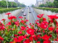 【醉美邵陽(yáng)】各色鮮花春盎然