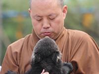 延參法師動物園當(dāng)保姆 萌態(tài)十足