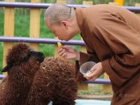 延參法師動物園當(dāng)保姆 萌態(tài)十足