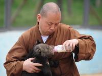 延參法師動物園當(dāng)保姆 萌態(tài)十足