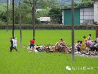 貨車側(cè)翻 20多噸貨物遭附近村民哄搶