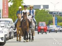 成都宅男化身“都市牧馬人” 3年花費十幾萬